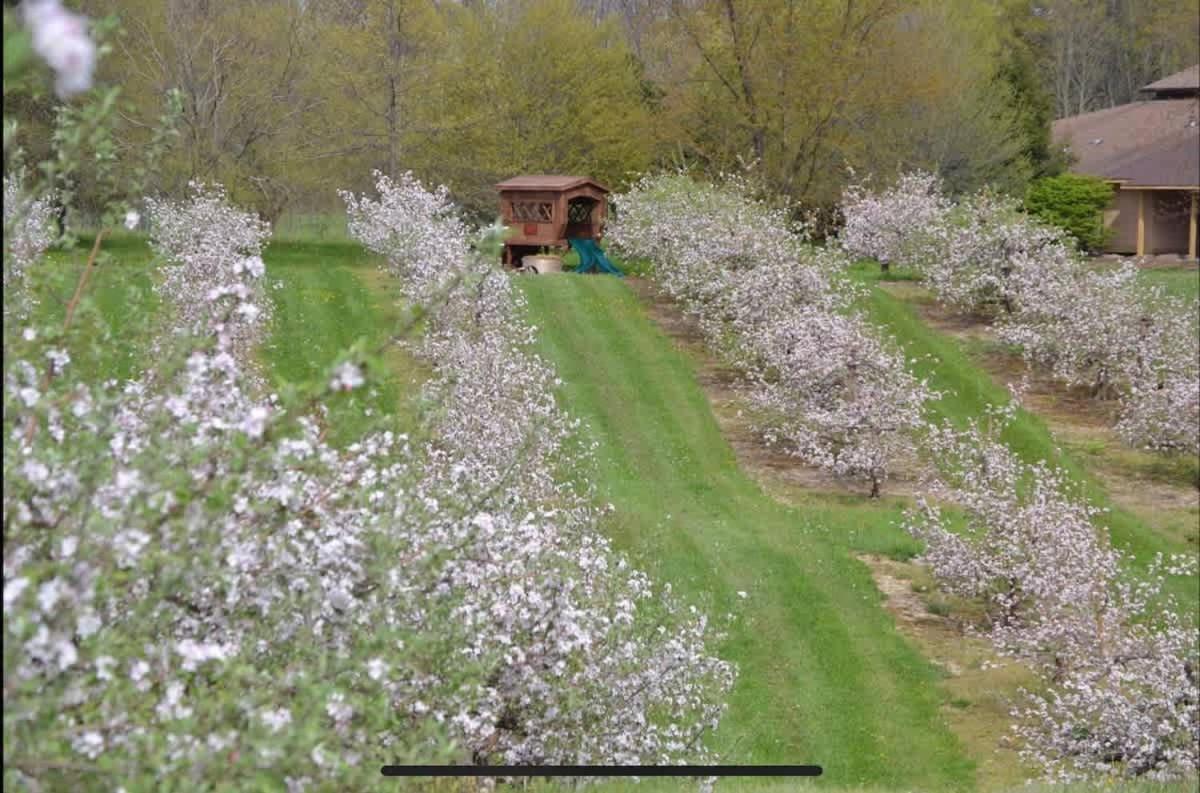 The Cortland Cottage At Brant'S Apple Orchard أشتابولا المظهر الخارجي الصورة