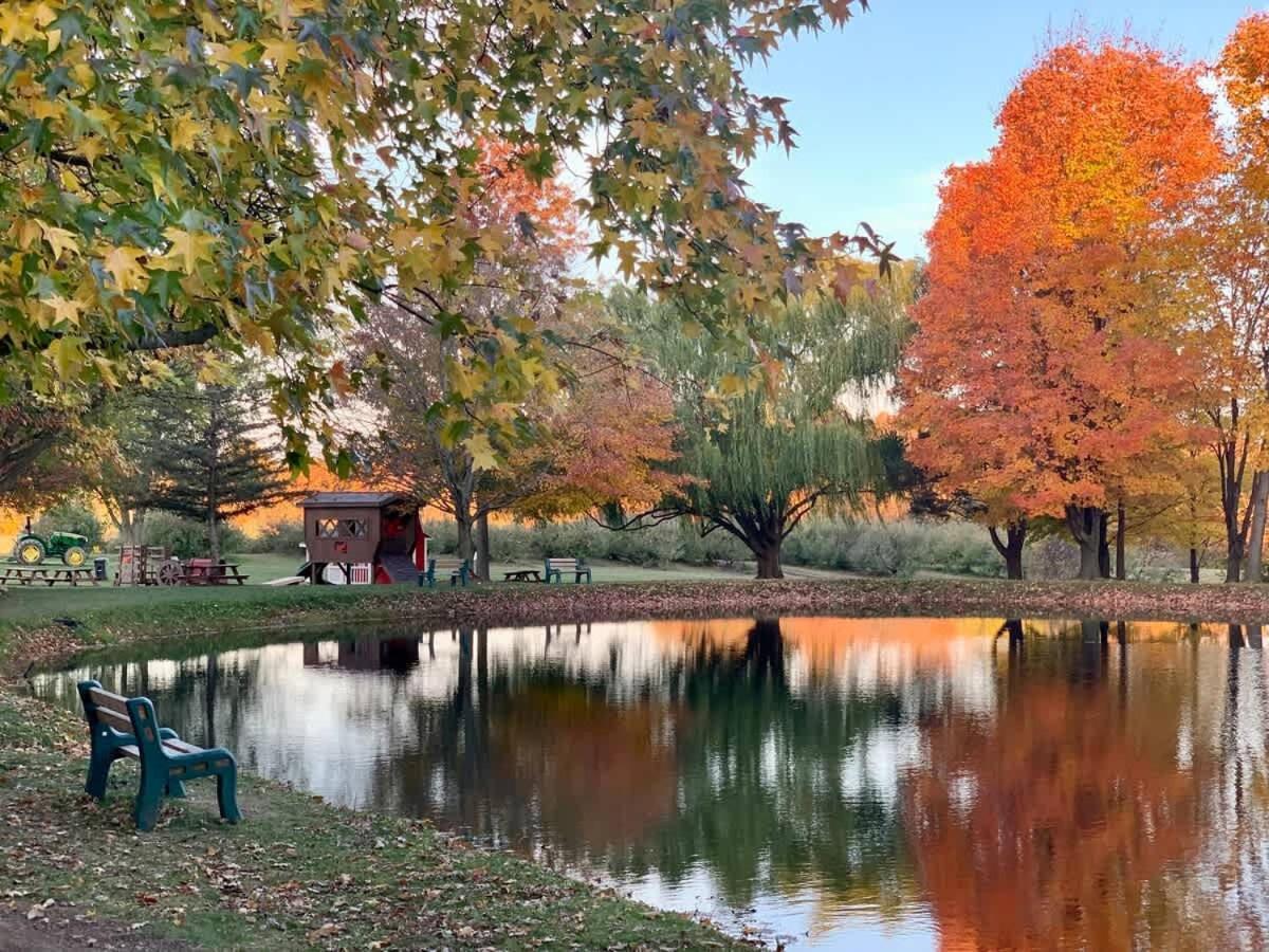 The Cortland Cottage At Brant'S Apple Orchard أشتابولا المظهر الخارجي الصورة